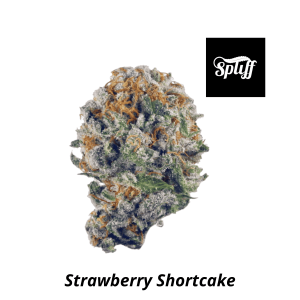 High-quality Strawberry Shortcake cannabis bud for dispensary sales.