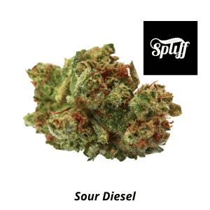 Fresh Sour Diesel cannabis bud with trichomes and vibrant green color.