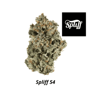 Spliff Dispensary in Los Angeles