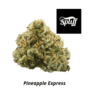 Close-up of Pineapple Express cannabis bud at Dispensary.