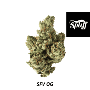 High-quality SFV OG cannabis bud for sale.