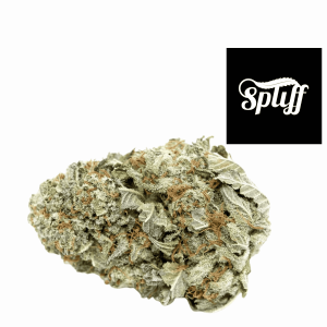 High-quality cannabis flower for sale at Spliff Nation Dispensary in DC.