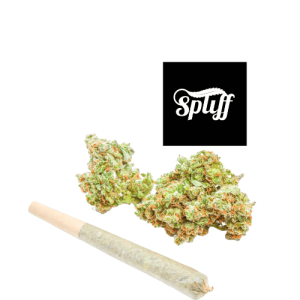 Cannabis buds and pre-roll at Spliff Nation Dispensary, Los Angeles.
