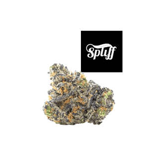 This Cannabis Product now available at Spliff Nation Dispensary Dispensaries in Los Angeles