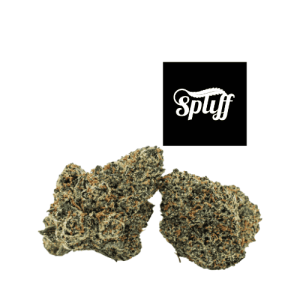 Premium cannabis buds at Spliff Nation Dispensary dispensary in Los Angeles.