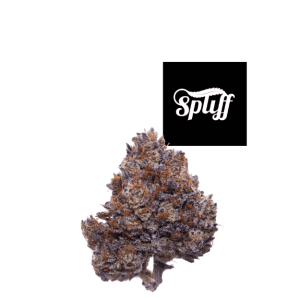 Premium cannabis bud at Spliff Nation Dispensary in Los Angeles, CA.