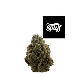 Premium cannabis bud at Spliff Nation Dispensary in Los Angeles, CA.