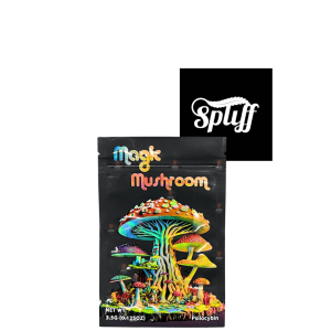Psychedelic magic mushroom edible package at Dispensary.