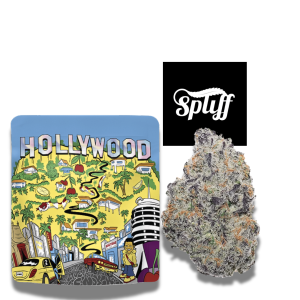 Cookies Hollywood premium flower 3.5g at Spliff Nation Dispensary in Los Angeles, CA