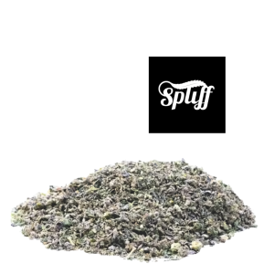 Gelato Shake hybrid cannabis flower at Spliff Nation Dispensary in Los Angeles, CA