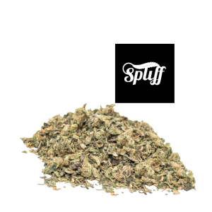 Blue Dream Shake hybrid cannabis flower at Spliff Nation Dispensary in Los Angeles, CA