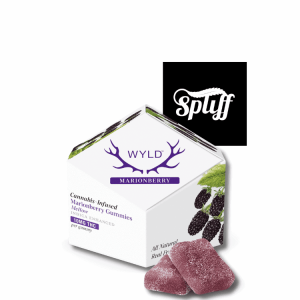 WYLD Marionberry Indica Gummies 100mg THC at Spliff Nation Dispensary Los Angeles